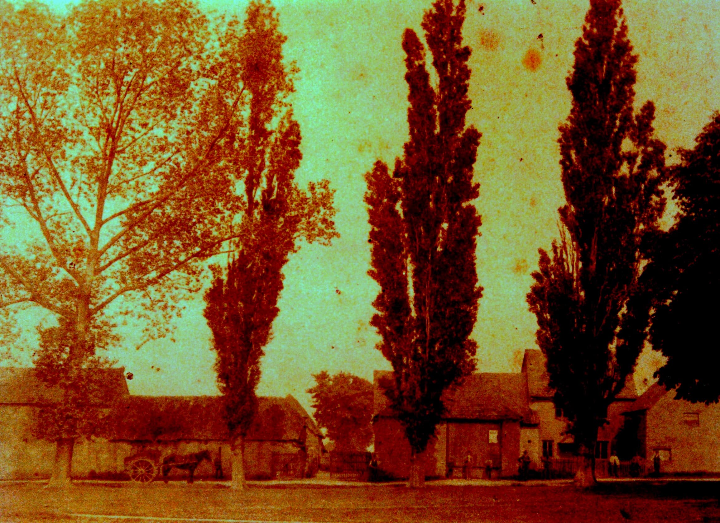 A photograph showing the site of ‘Springfield’ circa 1880